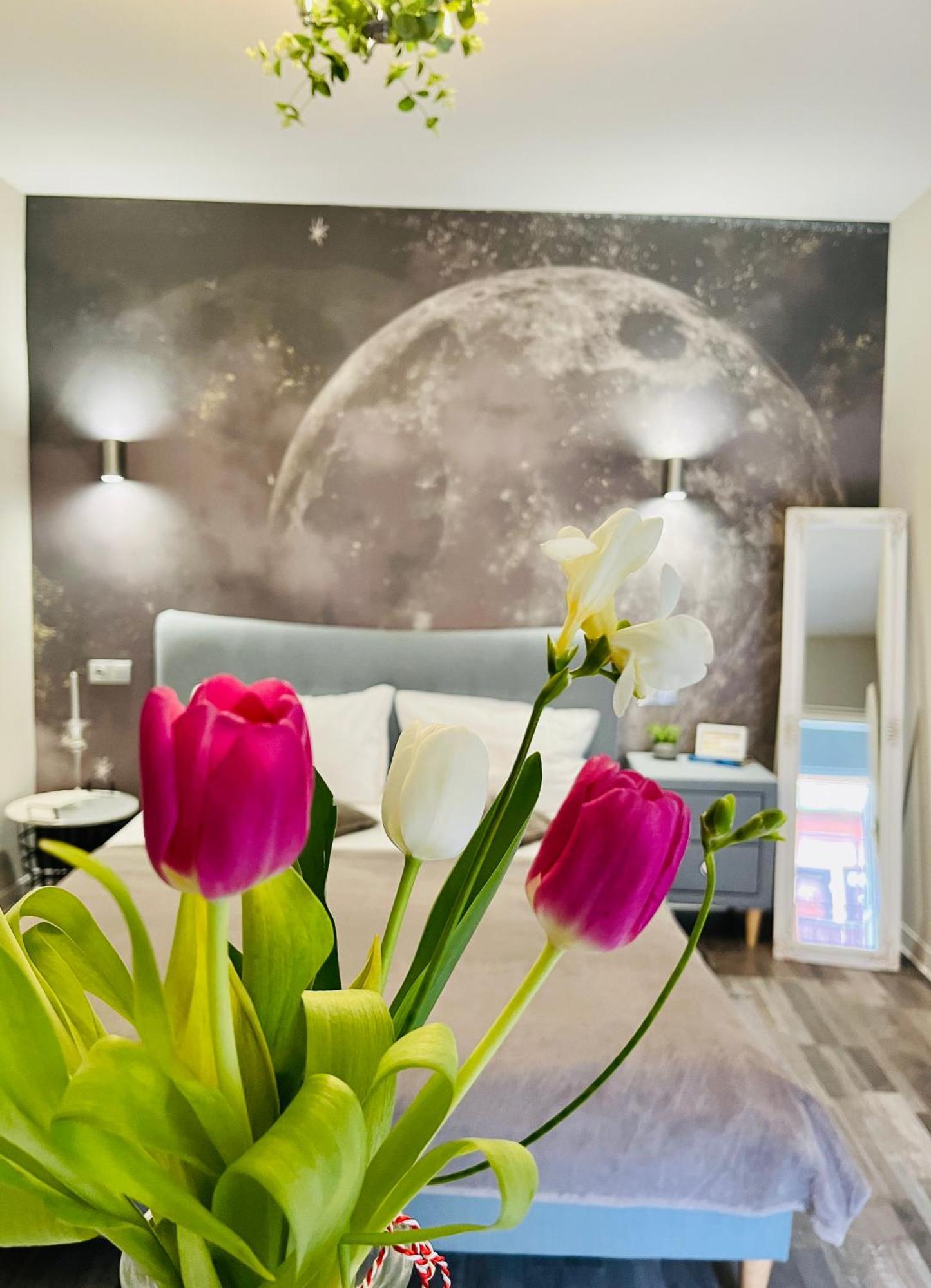 Moon And Sun Apartments Hermannstadt Exterior foto